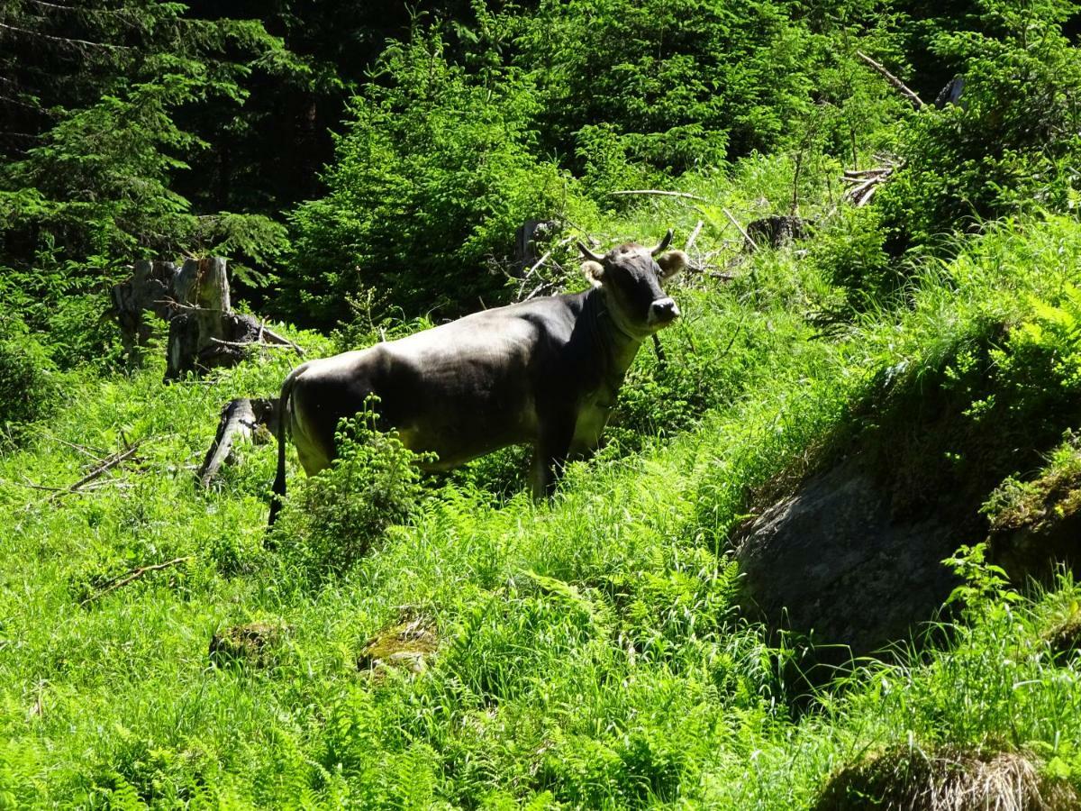 Appartamento Stubai